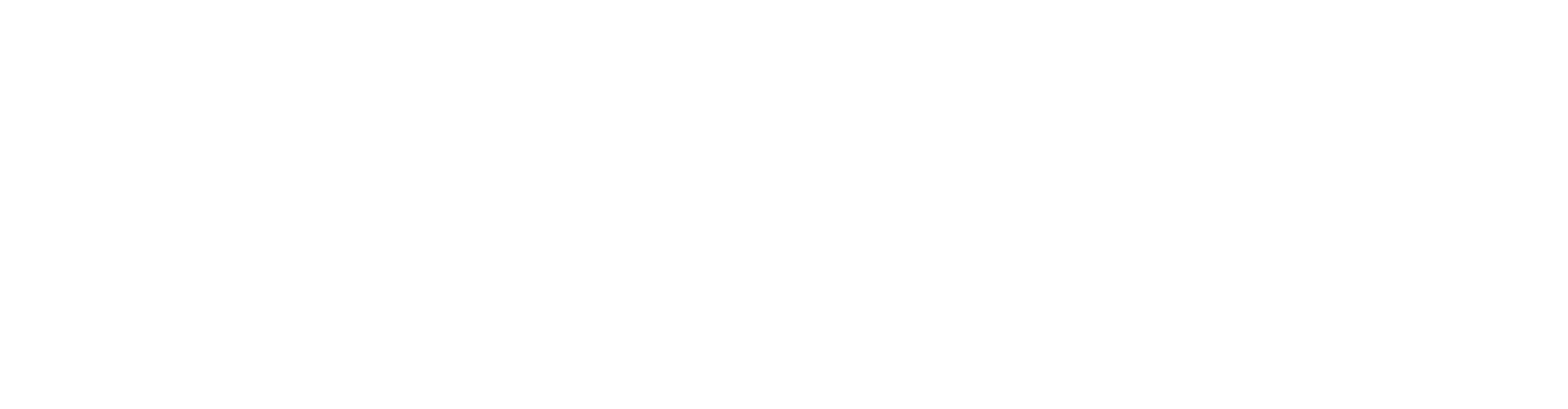 Alternative Airlines