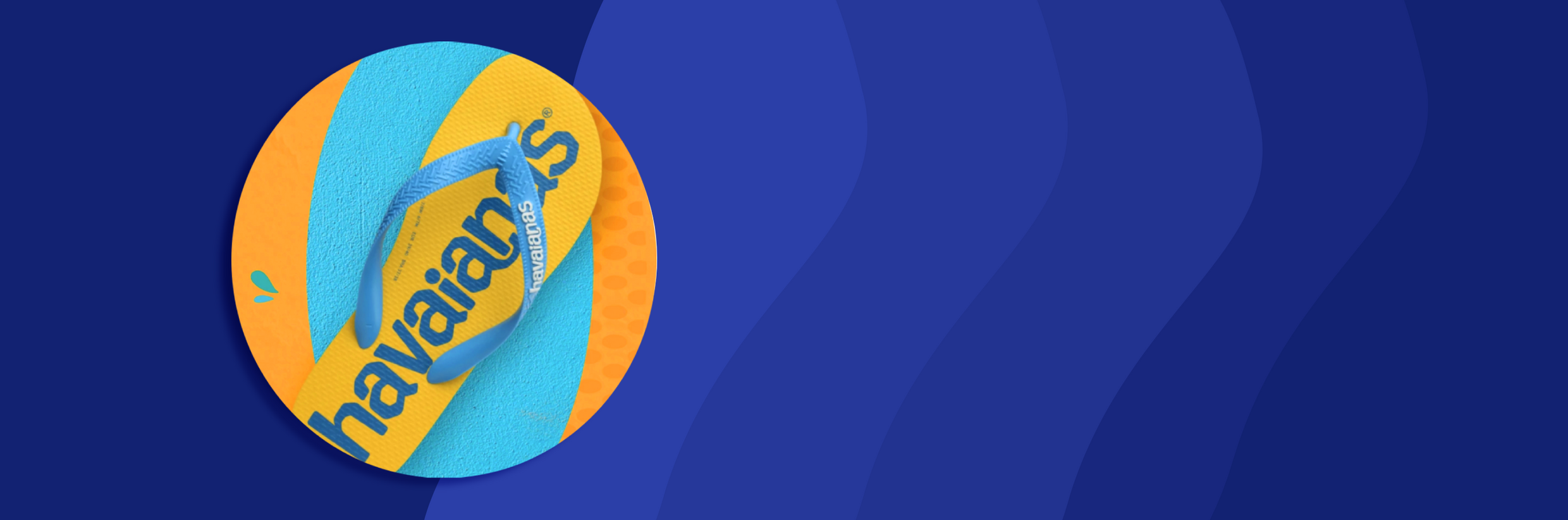 Havaianas Banner